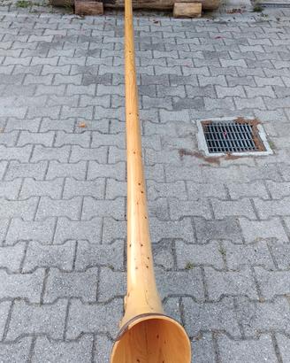 alphorn o corno delle alpi