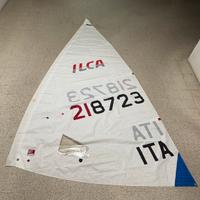 Vela ilca 6/laser Radial