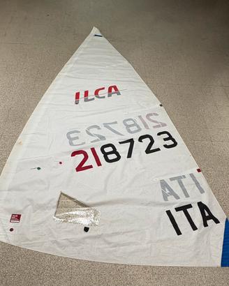 Vela ilca 6/laser Radial