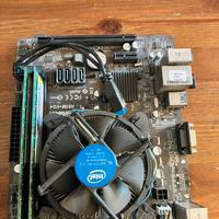 Scheda madre e processsore