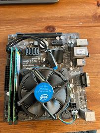 Scheda madre e processsore