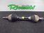 Immagine 4
