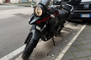 Suzuki V Strom 250 Moto
