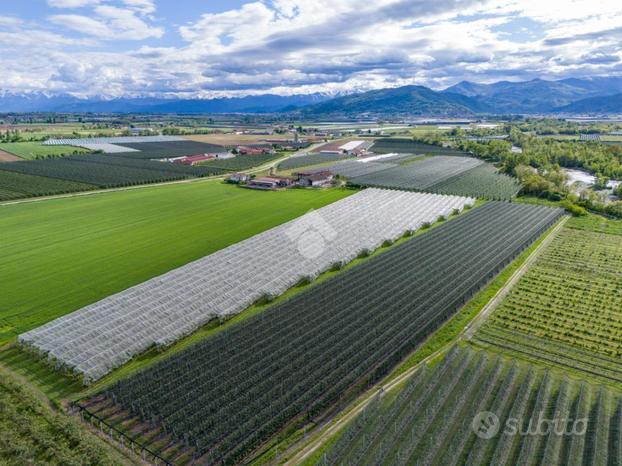 TER. AGRICOLO A VERZUOLO