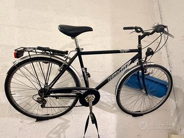 Bicicletta da passeggio