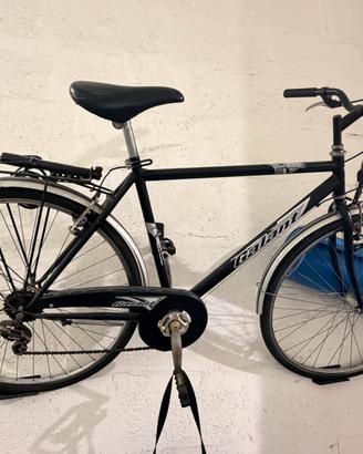 Bicicletta da passeggio
