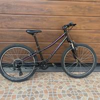 Bicicletta Specilized
