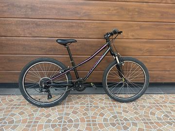 Bicicletta Specilized