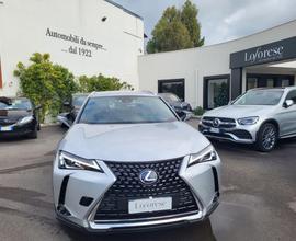 LEXUS UX Full Electric UX Hybrid Business