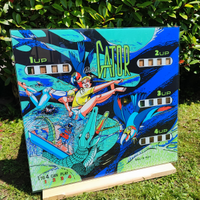 Flipper vetri backglass , copie su commissione