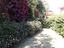 Immagine 10