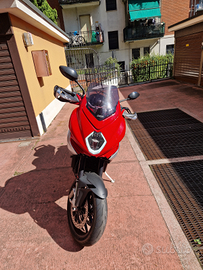 MV Agusta - Turismo Veloce 800