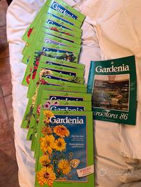 Gardenia rivista