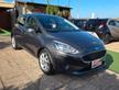 Ford Fiesta 1.1 85 CV 5 porte Titanium
