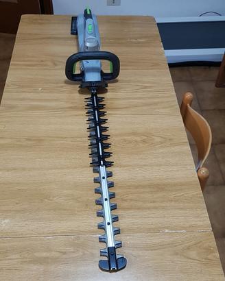 TAGLIASIEPI 6500E EGO POWER