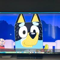 Tv Sony bravia 65xd8599