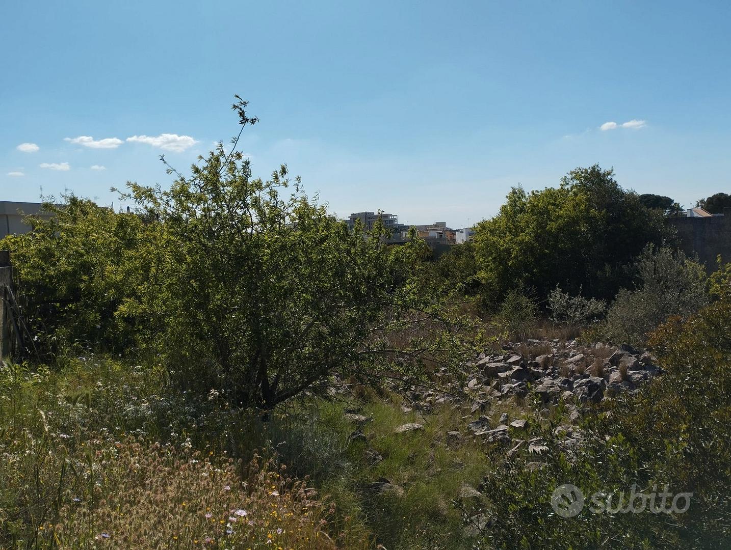 Terreno edificabile - Altro