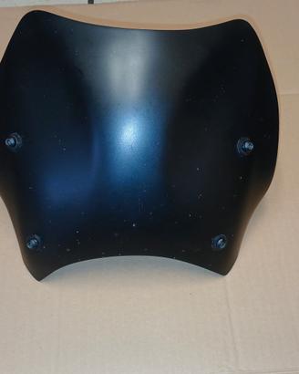 cupolino bmw r1200r