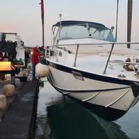 barca Fiart32 ZEUS