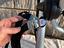 Immagine 5