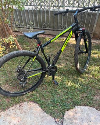 Bicicletta Mountain Bike