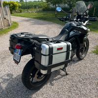 Triumph Tiger 900 GT PRo