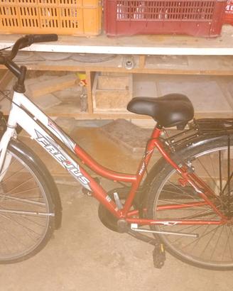 Bicicletta da donna
