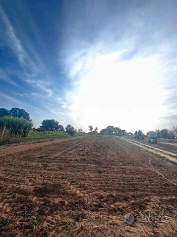 Nettuno Cadolino bellissimo terreno agricolo