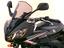 Immagine 11