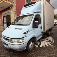 Iveco Daily 35c12 2.3 cc cella frigo isotermico AT