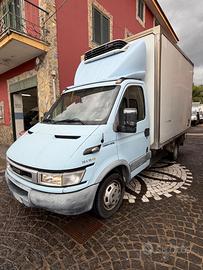 Iveco Daily 35c12 2.3 cc cella frigo isotermico AT
