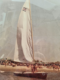 Barca a vela Contender