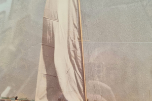 Barca a vela Contender