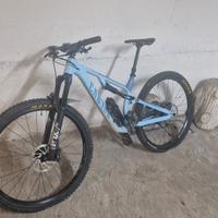 Canyon neuron 6 tg. M