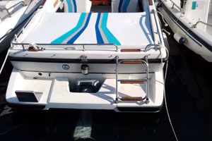 Barca a motore