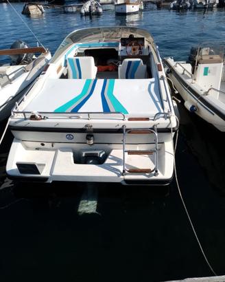 Barca a motore