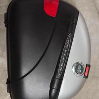 Borse + telaio Suzuki V Strom 650  2004-2011