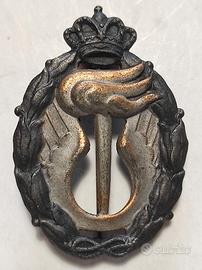 Distintivo Regia Aeronautica ricognizione strategi