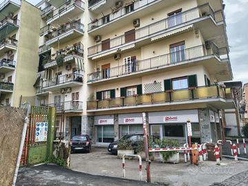 Cantina Napoli [COLLIAMINEI26LACG]