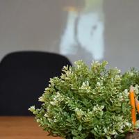Laboratorio, magazzino, ufficio ristrutturato