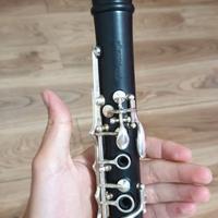 Clarinetto Backun Protégé