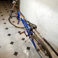 bici montain bike