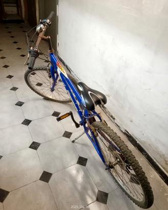 bici montain bike