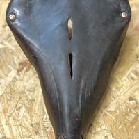 Sella maschile Wolsit a riccioli