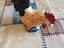 Immagine 1