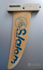 Pinna windsurf