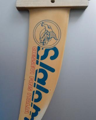 Pinna windsurf