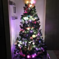 Albero di natale