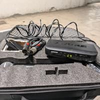 Shure BLX24/SM58 Wireless Professionale