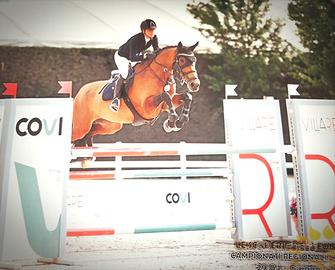 Cavalla da salto ostacoli